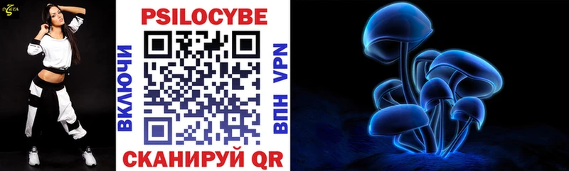 Купить  Торопец  Галлюциногенные грибы прущие грибы 