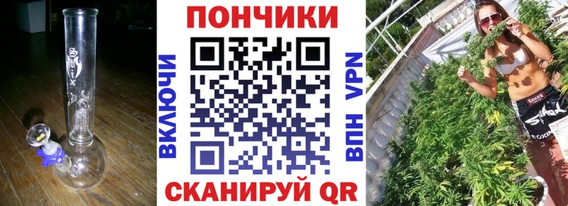 Купить  Торопец  Канабис семена 